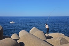 추천갤러리 - 멀리 더 멀리.