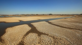 추천갤러리 - 거북이 나라 - 9월 27일