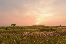 추천갤러리 - 수섬의 일몰