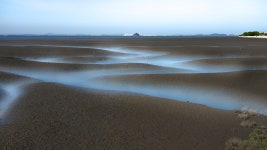 추천갤러리 - 갯골