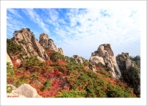 추천갤러리 - 도봉산---만산 홍엽