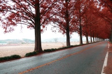 추천갤러리 - 순창 메타스퀘어 길