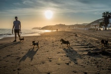 추천갤러리 - 해변의 산책