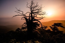 추천갤러리 - 함백산