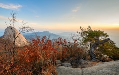 추천갤러리 - 북한산의 만추