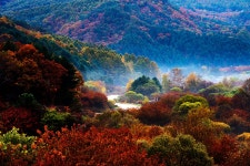 추천갤러리 - 비밀의 정원