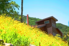 추천갤러리 - 석모도수목원2