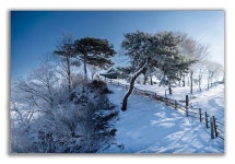 추천갤러리 - 요산공원