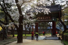 추천갤러리 - 직지사