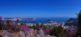 추천갤러리 - 부산 영도 해양