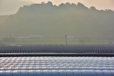 추천갤러리 - 들녘