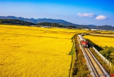 추천갤러리 - 청리들녘