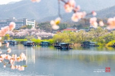 추천갤러리 - 초평저수지