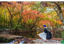 추천갤러리 - 추억만들기~선운사