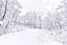 추천갤러리 - 설경