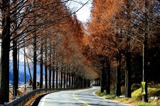 추천갤러리 - 메타길