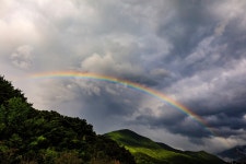 추천갤러리 - 무지개