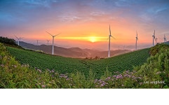 추천갤러리 - 매봉산 아침