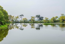 추천갤러리 - 대정제