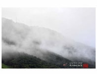 추천갤러리 - 안개