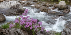 추천갤러리 - 뱀사골