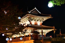 추천갤러리 - 진. 주. 성