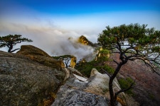 추천갤러리 - 삼남매송