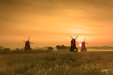 추천갤러리 - 여명잔치