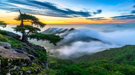 추천갤러리 - 생애대에서...