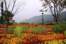 추천갤러리 - 송해공원....