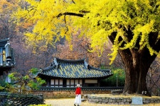 추천갤러리 - 운곡서원