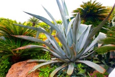 추천갤러리 - 성인장