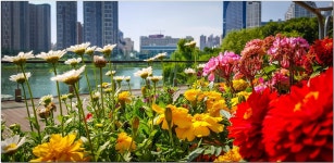 추천갤러리 - 광교 호수공원