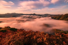 추천갤러리 - 옥정호