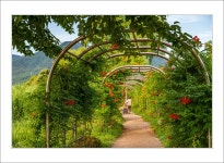 추천갤러리 - 산책길