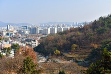 추천갤러리 - 망진산 가는 길