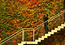 추천갤러리 - 파주에서