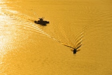 추천갤러리 - 황금빛 바다