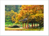 추천갤러리 - 어느 농가를 지나가다