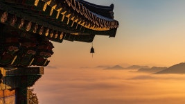 추천갤러리 - 산사의 아침