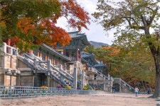 추천갤러리 - 불국사