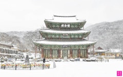 추천갤러리 - 눈 내린 금산사