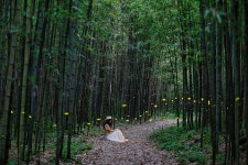 추천갤러리 - 구룡마을반딧불...