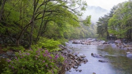 추천갤러리 - 뱀사골