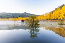 추천갤러리 - 문광저수지