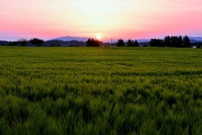 추천갤러리 - 학원농장