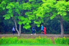 추천갤러리 - 산책길