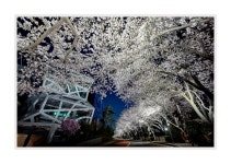 추천갤러리 - 달맞이길