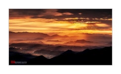 추천갤러리 - 빛의 하모니