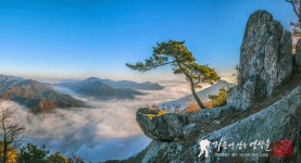 추천갤러리 - 갈기산 雲海